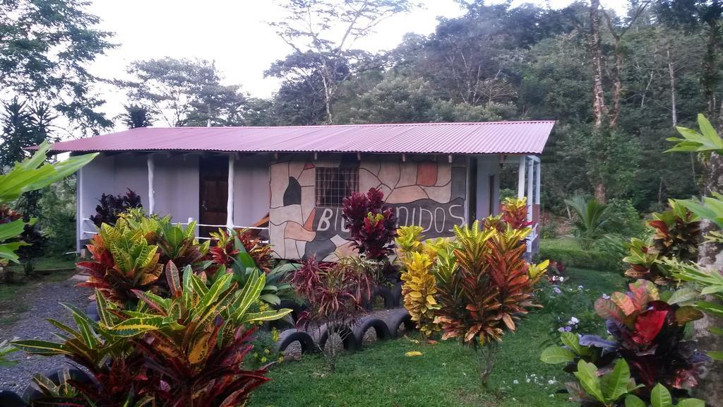 Nacientes Lodge Bijagua Esterno foto