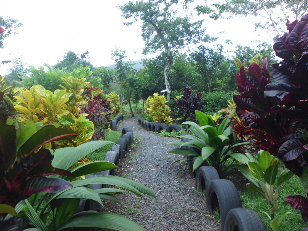 Nacientes Lodge Bijagua Esterno foto