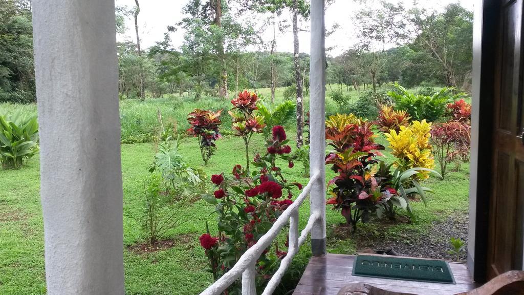 Nacientes Lodge Bijagua Esterno foto